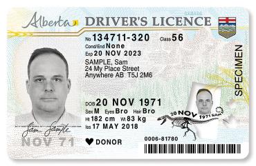 Buy Canadian Driver’s License